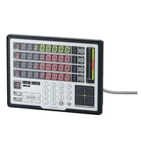 LS-D1000 - จอแสดงผล